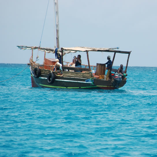 1 Day Wasini Island