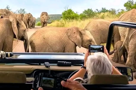 nairobi jeep safaris